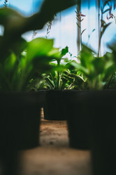 Similar image 21878769