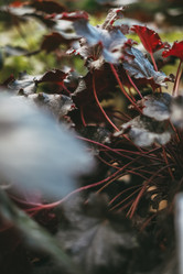 Similar image 21878771