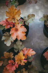 Similar image 21878772