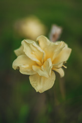 Similar image 21878773