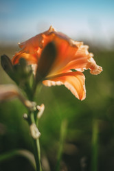 Similar image 21878775