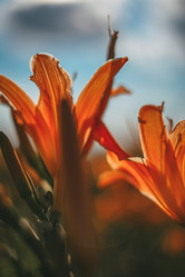 Similar image 21878776