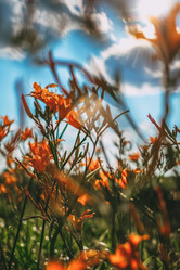 Similar image 21878777