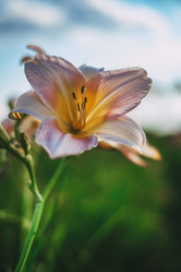 Similar image 21878778