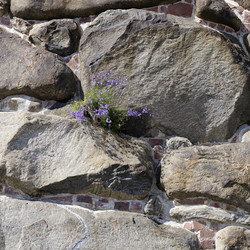 Similar image 21886616