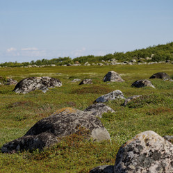 Similar image 21886624