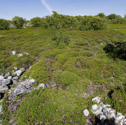 Similar image 21886626