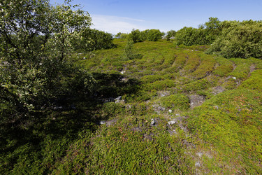 Similar image 21886629