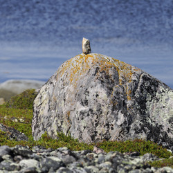 Similar image 21886630