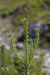 Similar image 21886631