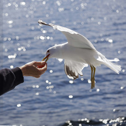 Similar image 21885389