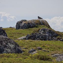 Similar image 21886632