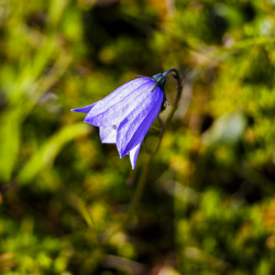 Similar image 21885390