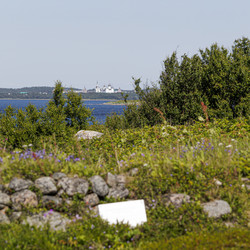 Similar image 21882596