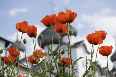 Similar image 21882597