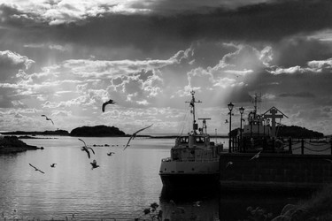 Similar image 21884296