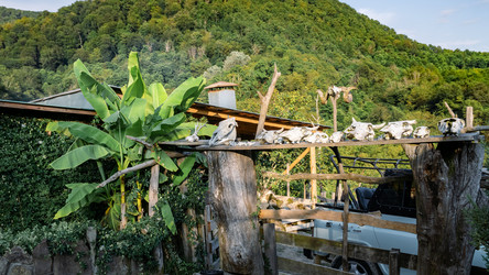 Similar image 21887544