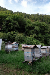 Similar image 21887546