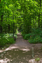 Similar image 21878622