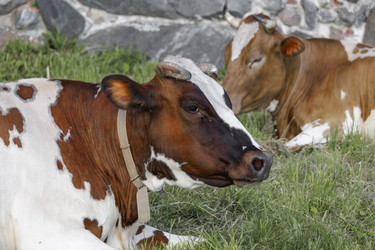 Similar image 21885215