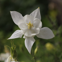 Similar image 21885392