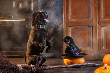 Similar image 21878560