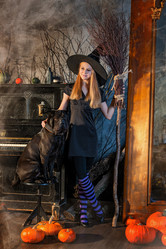 Similar image 21878561