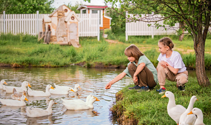 Similar image 21878569