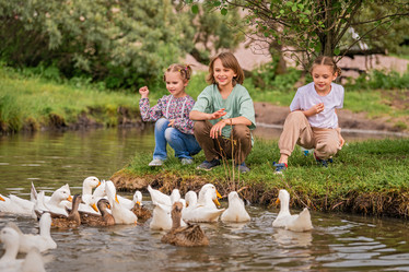 Similar image 21878570