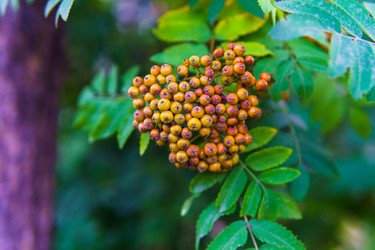 Similar image 21885216