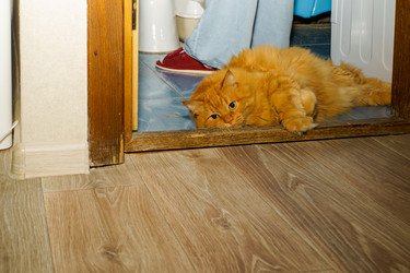 Similar image 21885217