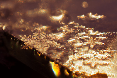 Similar image 21878580