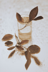 Similar image 21878581