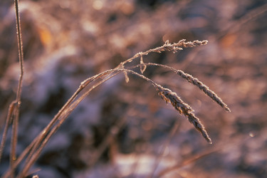 Similar image 21878582