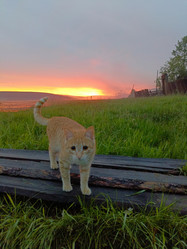 Similar image 21879652