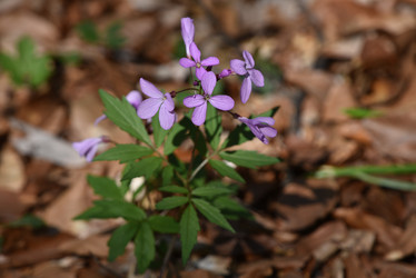 Similar image 21879403