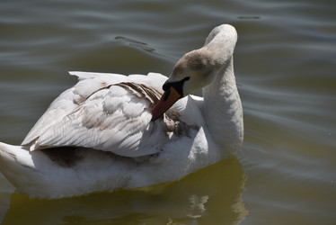 Similar image 21879404