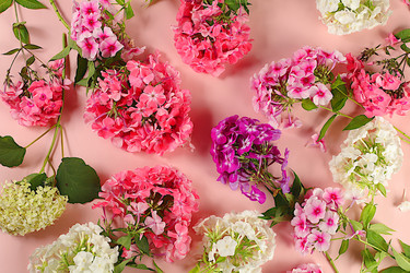 Similar image 21879270