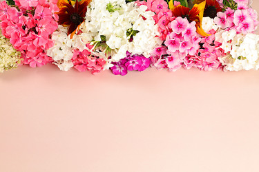 Similar image 21879271