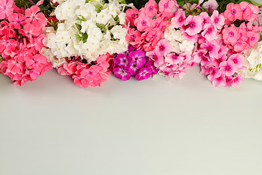 Similar image 21879272