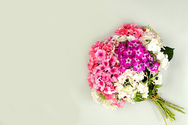 Similar image 21879273