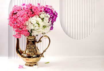 Similar image 21879274