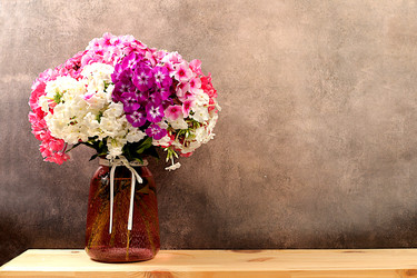 Similar image 21879277