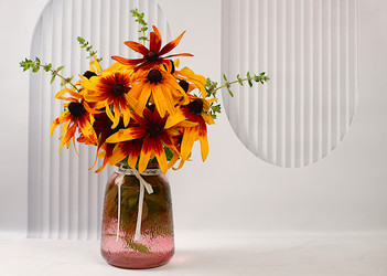 Similar image 21879278