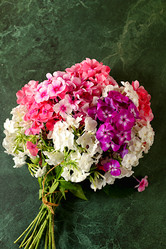 Similar image 21879282