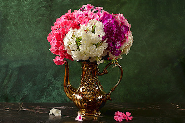 Similar image 21879285