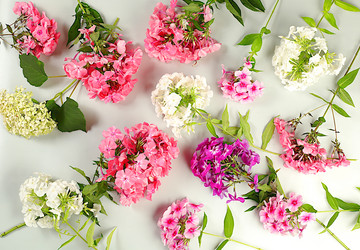 Similar image 21879287