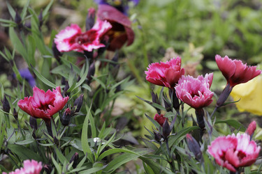 Similar image 21882020