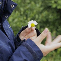 Similar image 21879661