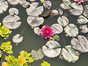 Similar image 21879406